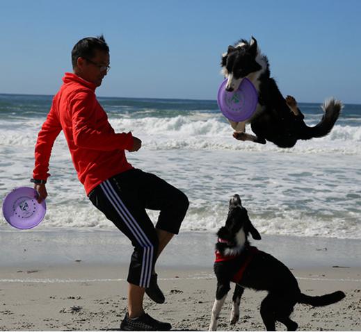 宝仔屋宠物美容